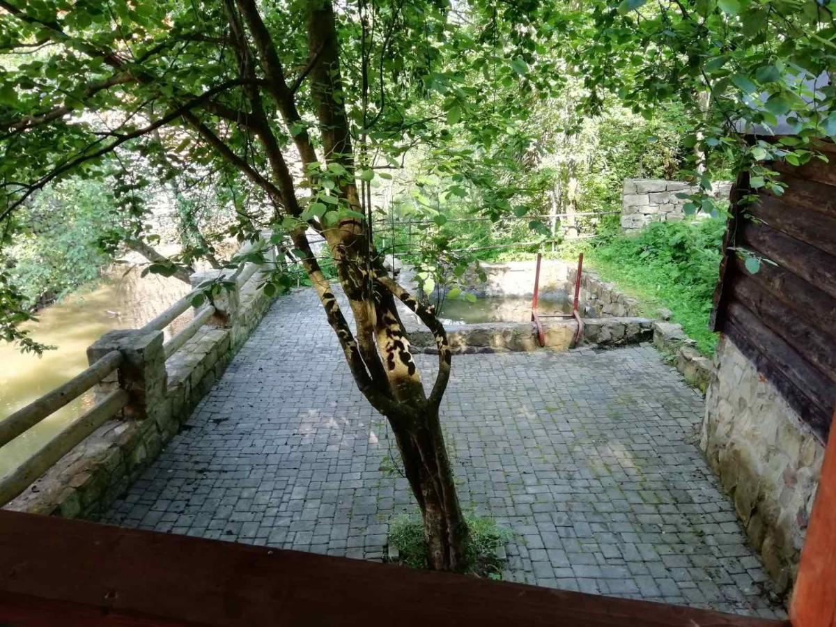 Cheremosh Yablunytsya Bagian luar foto