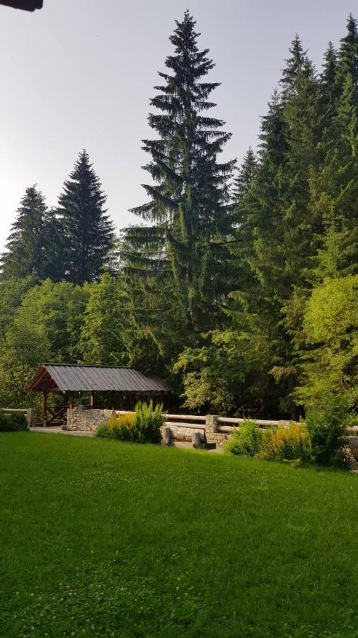 Cheremosh Yablunytsya Bagian luar foto